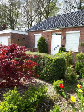 Schwalbennest Ostfriesland